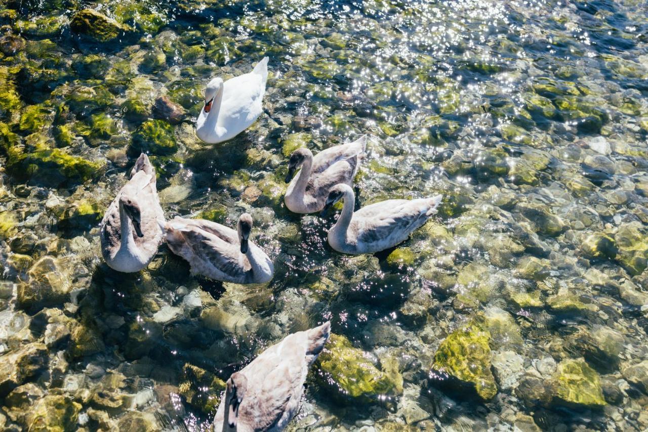 Hotel Orione - Lake Front Hotel Brenzone sul Garda Zewnętrze zdjęcie